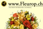 Arte Floris Blumen und Dekorationen